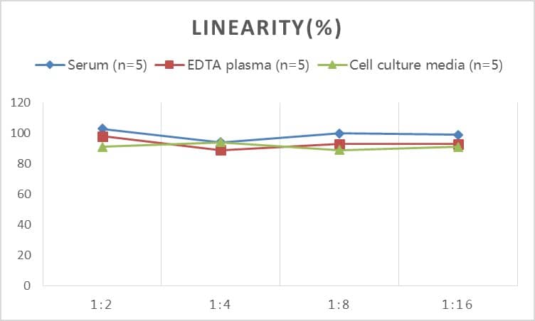 Human PYGL ELISA Kit (Colorimetric)