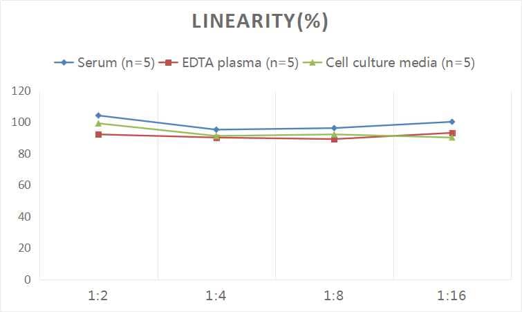 Human Rac1 ELISA Kit (Colorimetric)