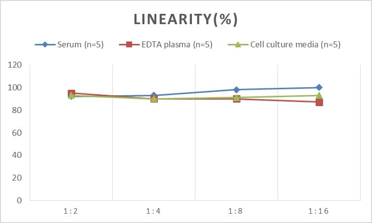 Human RB1 ELISA Kit (Colorimetric)