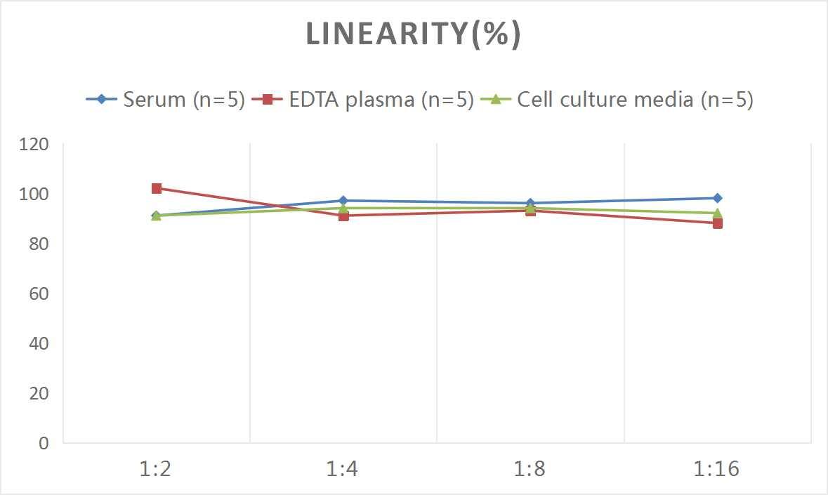 Rat Coagulation Factor X ELISA Kit (Colorimetric)