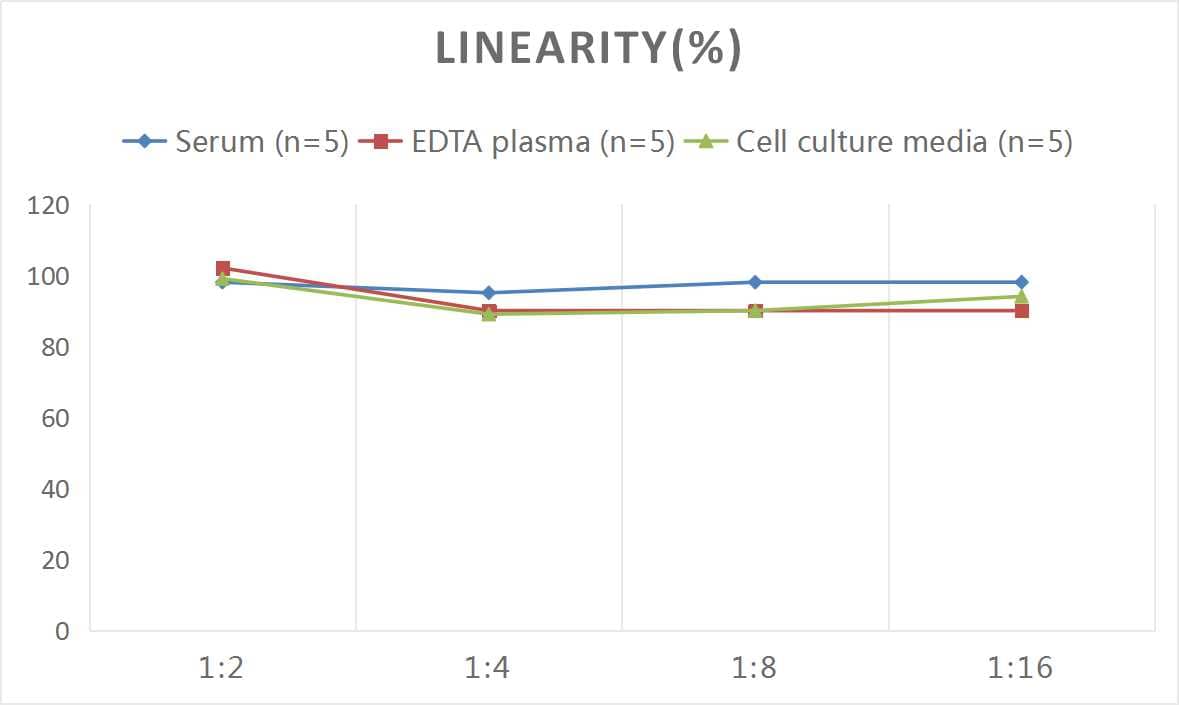 Human RCN1 ELISA Kit (Colorimetric)