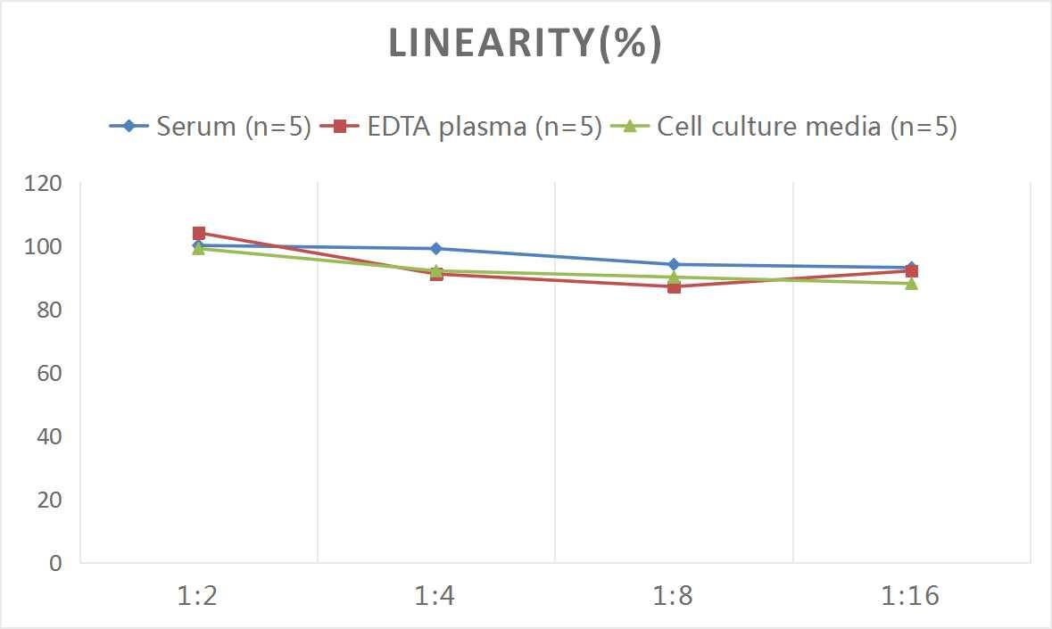 Human Reelin ELISA Kit (Colorimetric)