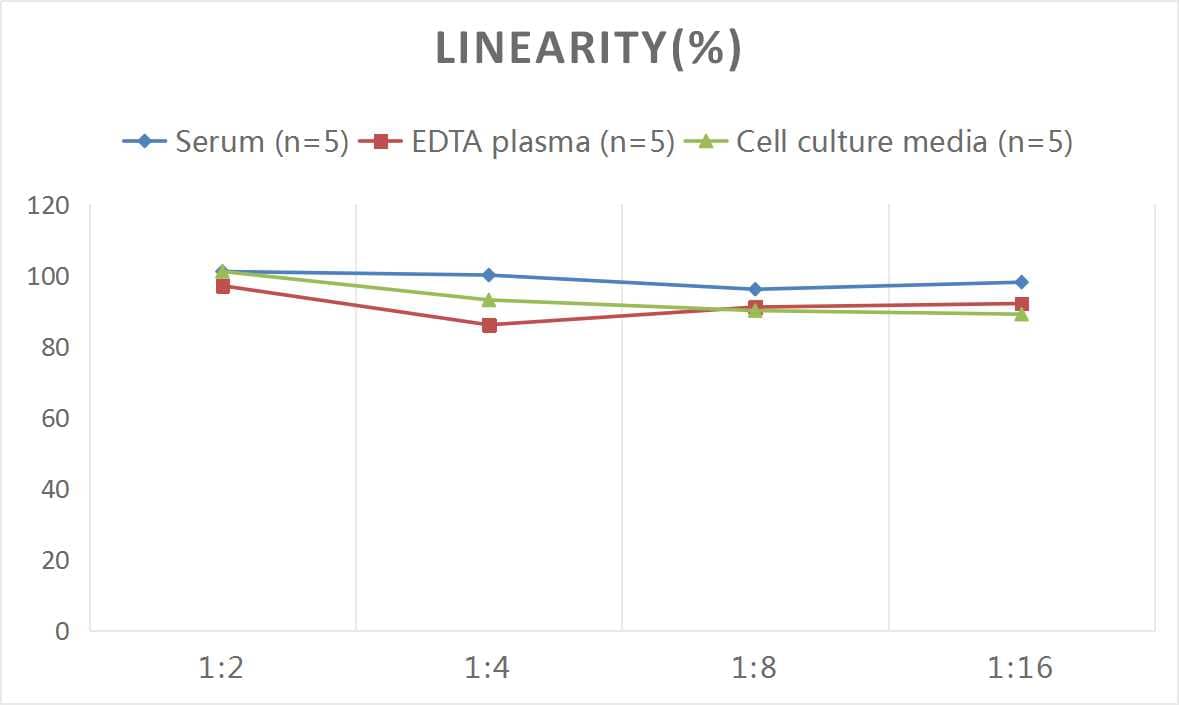 Human Nogo ELISA Kit (Colorimetric)