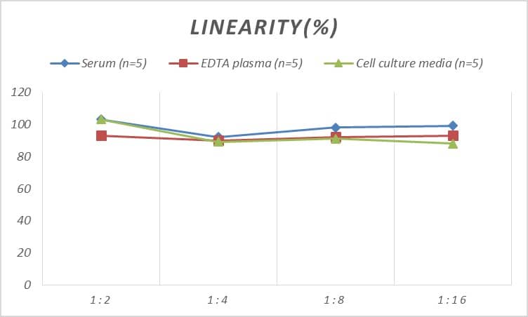 Human SAP25 ELISA Kit (Colorimetric)