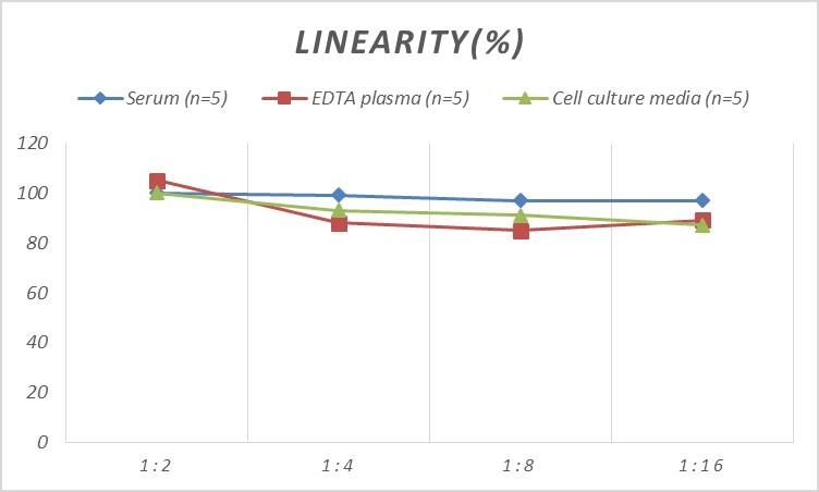 Human SBEM ELISA Kit (Colorimetric)