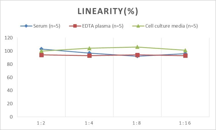 Human Secretin ELISA Kit (Colorimetric)