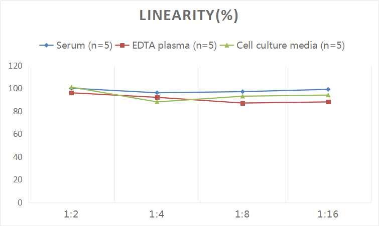 Human Slit2 ELISA Kit (Colorimetric)