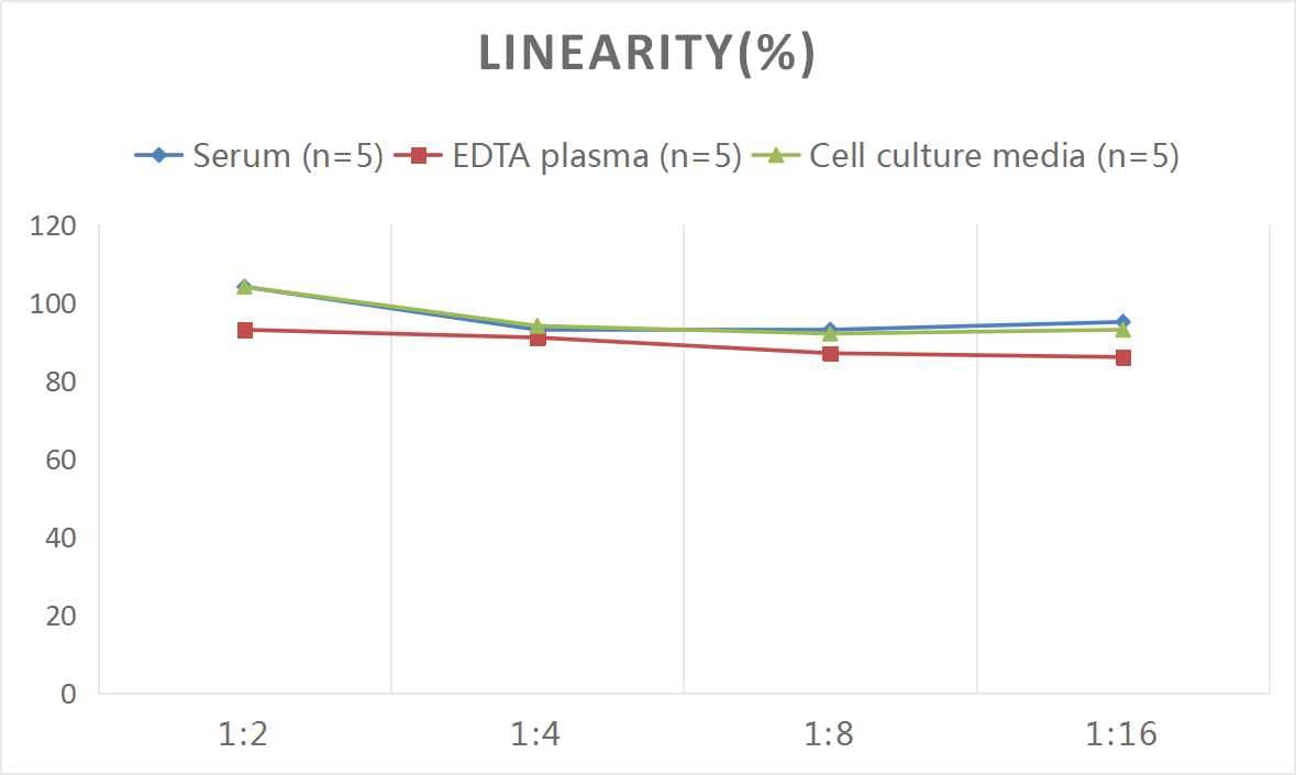 Human SUMO2 ELISA Kit (Colorimetric)