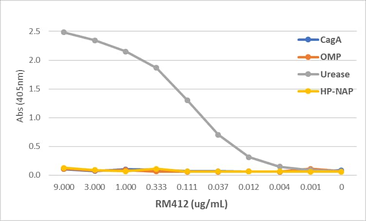 Helicobacter pylori urease B Antibody (RM412)