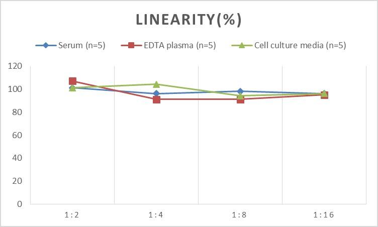 Human TMPRSS2 ELISA Kit (Chemiluminescence)