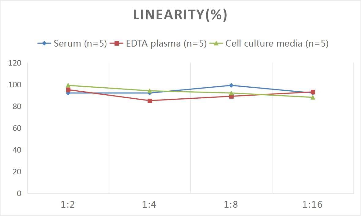 Mouse Cathepsin L ELISA Kit (Colorimetric)