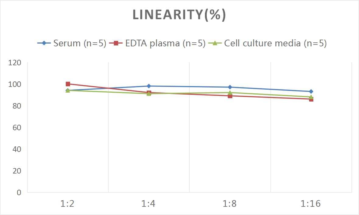 Rat Cathepsin L ELISA Kit (Colorimetric)