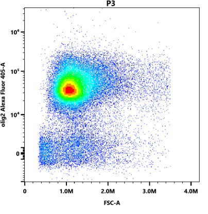Olig2 Antibody (064) [Alexa Fluor® 405]