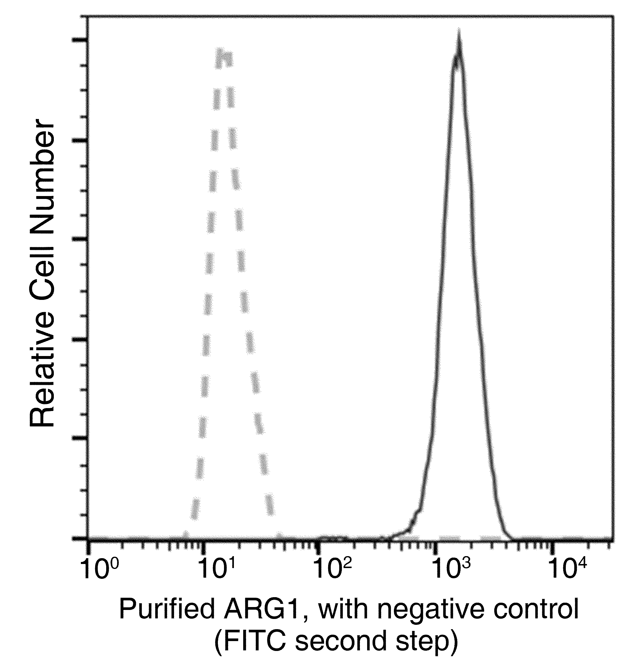 Arginase 1/ARG1/liver Arginase Antibody (034) - Azide and BSA Free