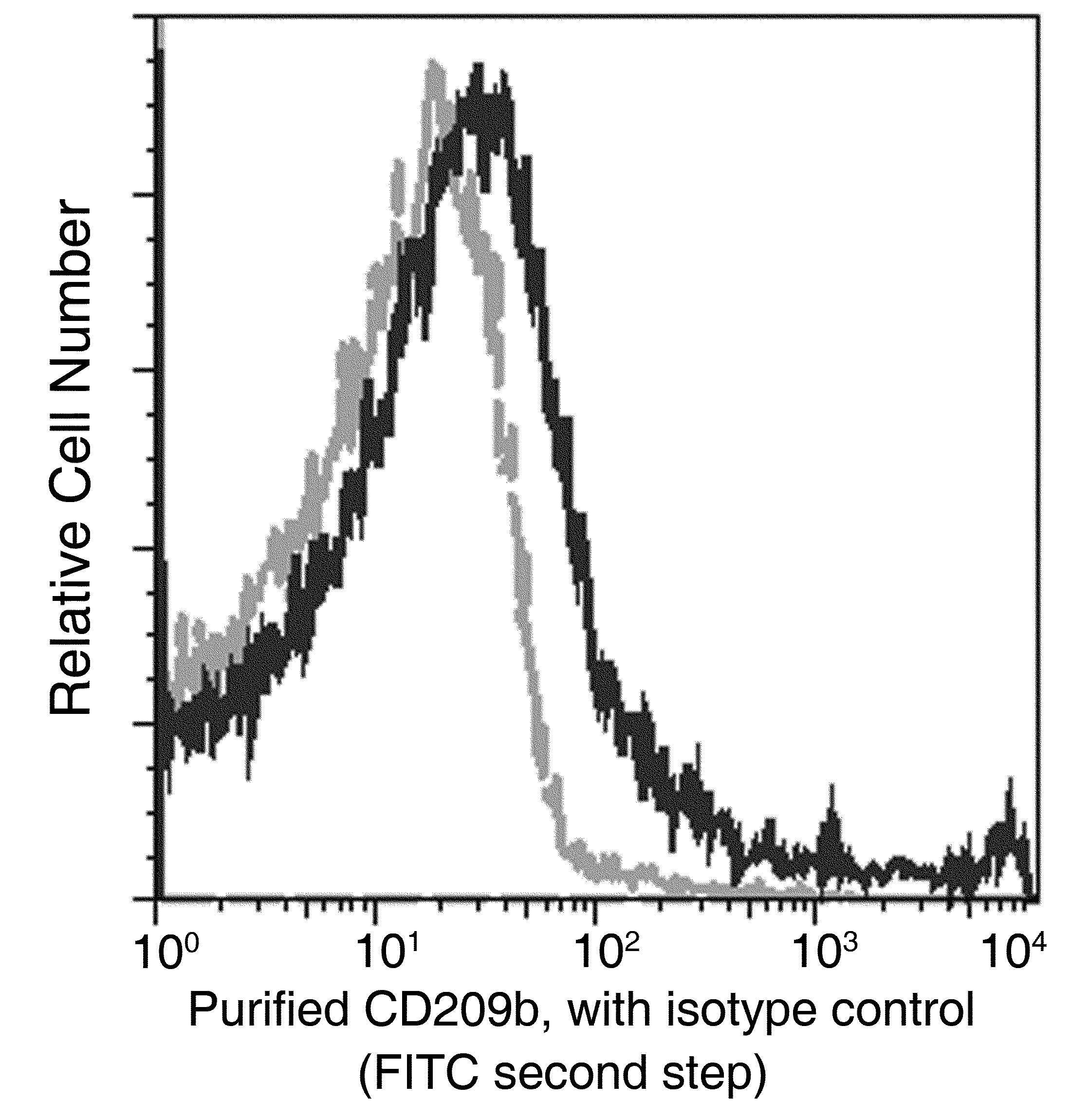 SIGNR1/CD209b Antibody (143) - Azide and BSA Free