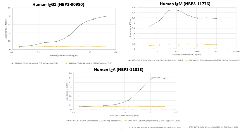 SARS-CoV-2 Spike Antibody (CR3022) - Azide and BSA Free