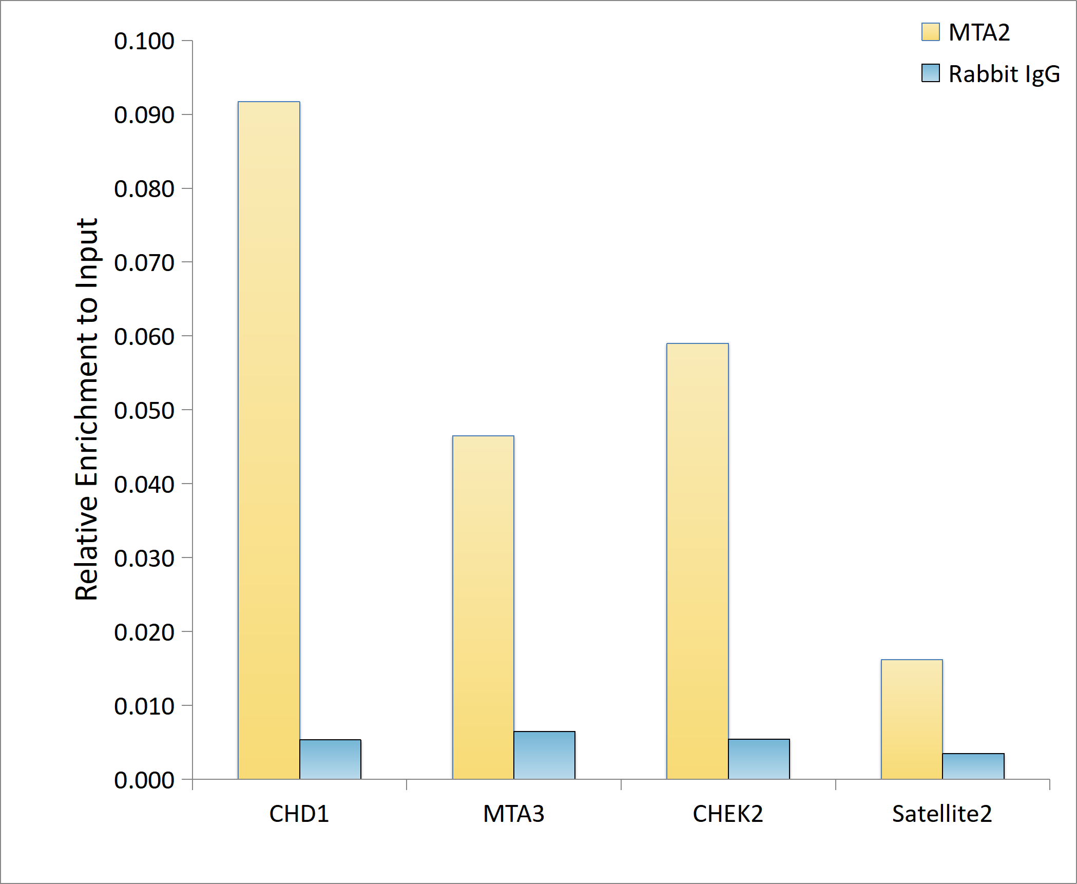 MTA2 Antibody - Azide and BSA Free