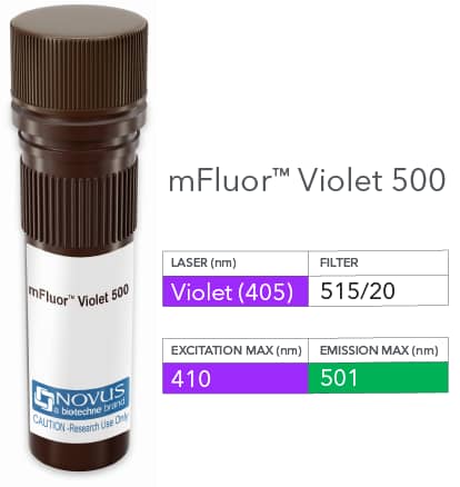 NDUFV2 Antibody [mFluor Violet 500 SE]