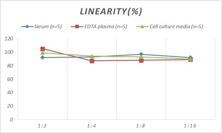 Human Cathepsin V ELISA Kit (Colorimetric)