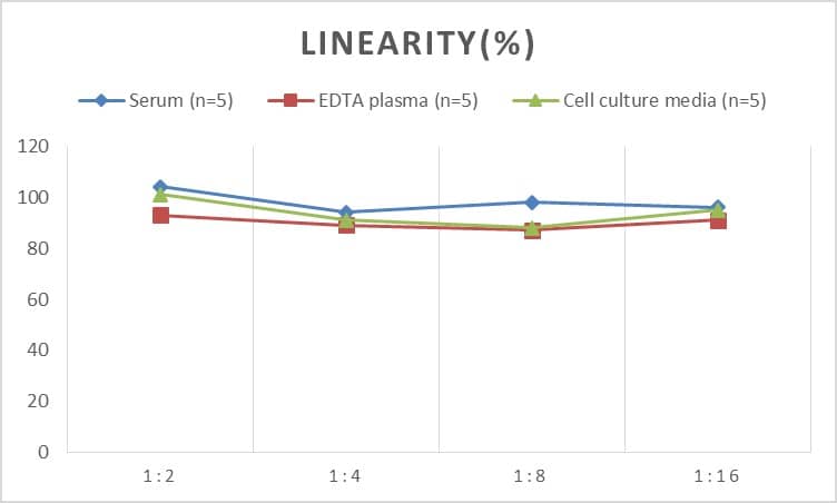 Human PTGER2 ELISA Kit (Colorimetric)