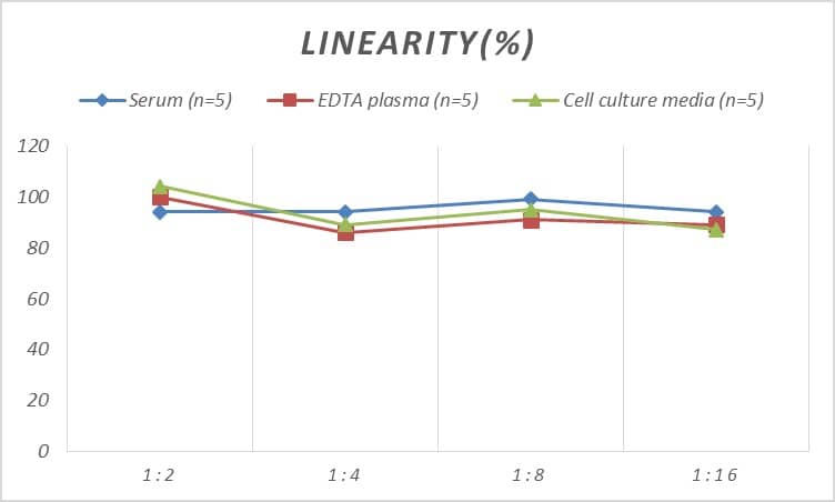 Human EphA10 ELISA Kit (Colorimetric)