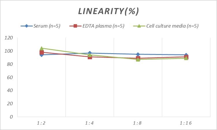 Human ERK3/MAPK6 ELISA Kit (Colorimetric)