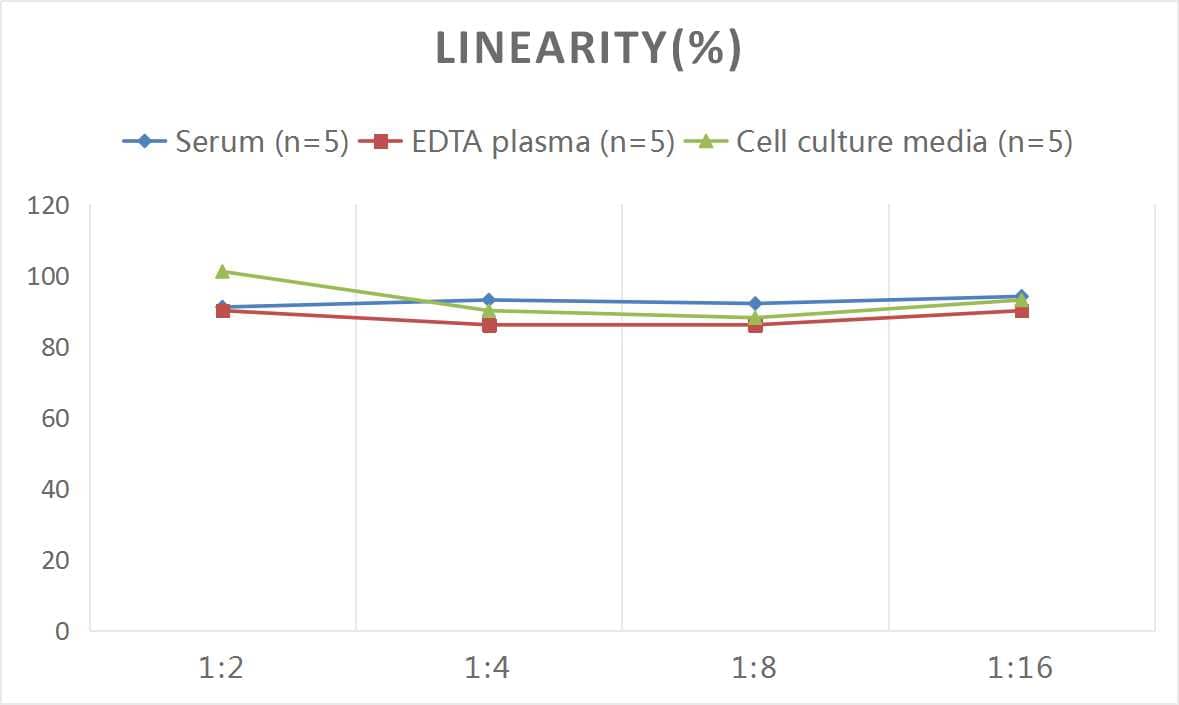 Human IgG Fc ELISA Kit (Colorimetric)