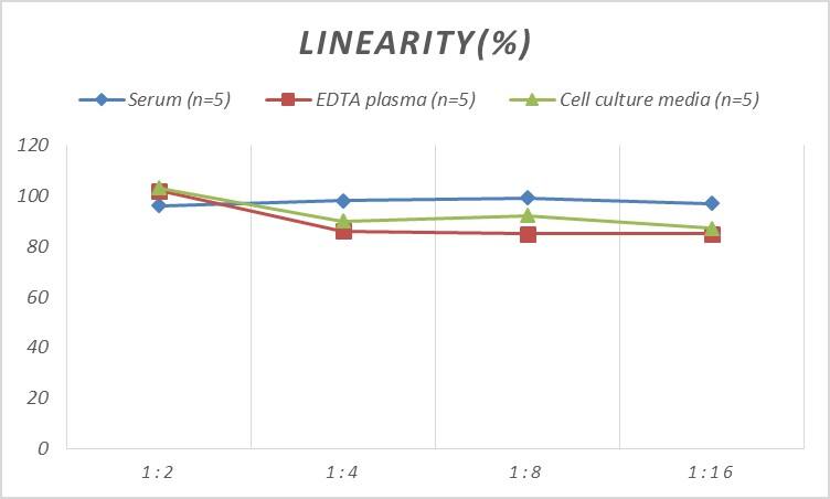 Human Fc gamma RII/CD32 ELISA Kit (Colorimetric)