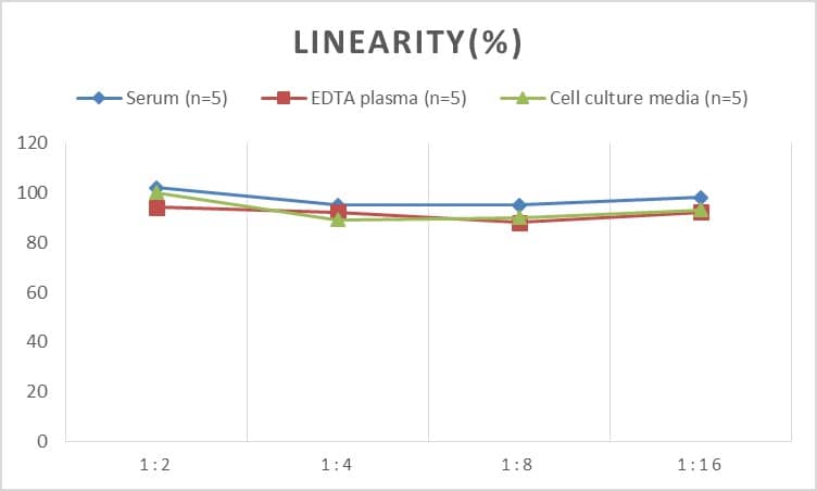 Human GATA-1 ELISA Kit (Colorimetric)