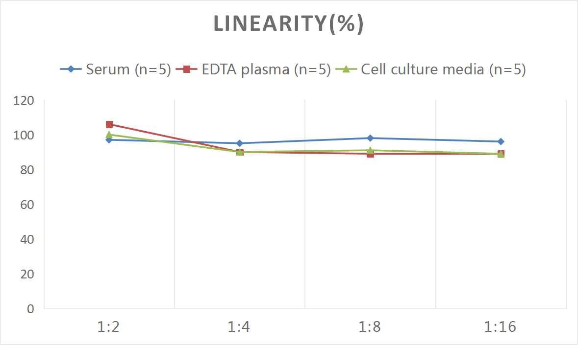 Human Serpin E2/PN1 ELISA Kit (Colorimetric)