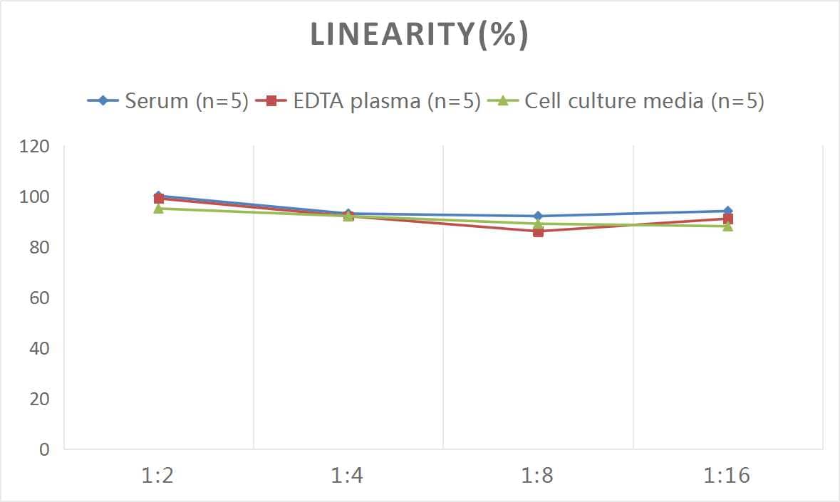 Human HLA A ELISA Kit (Colorimetric)