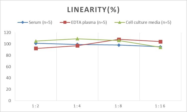 Human HLA A ELISA Kit (Chemiluminescence)