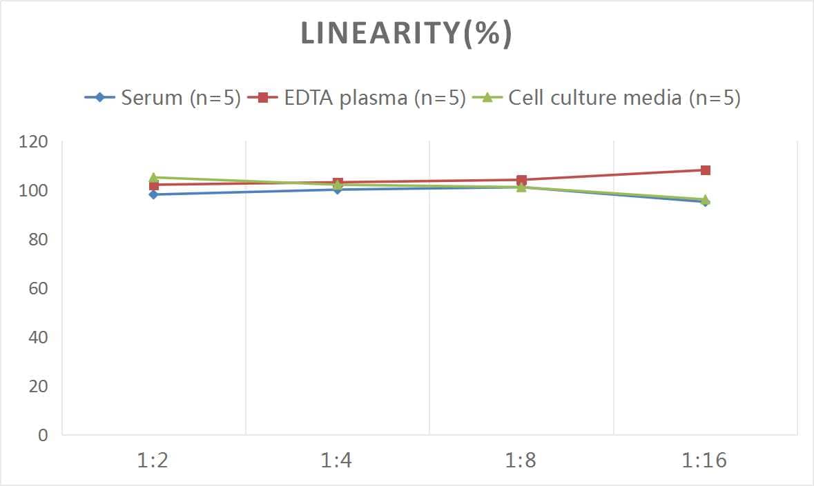 Human HLA B ELISA Kit (Chemiluminescence)