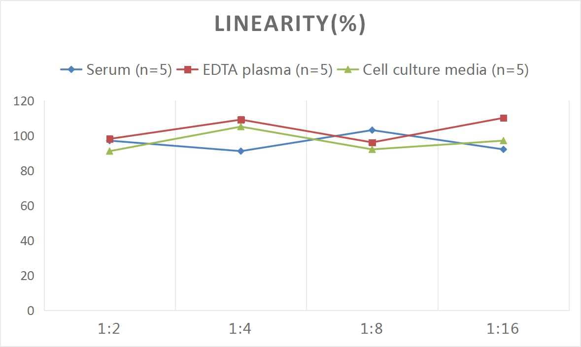 Human IgA ELISA Kit (Chemiluminescence)