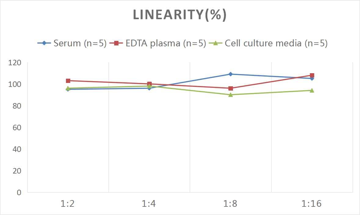 Human IgG ELISA Kit (Chemiluminescence)