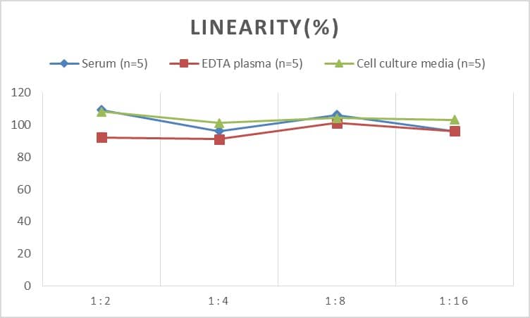 Human IgG1 ELISA Kit (Chemiluminescence)