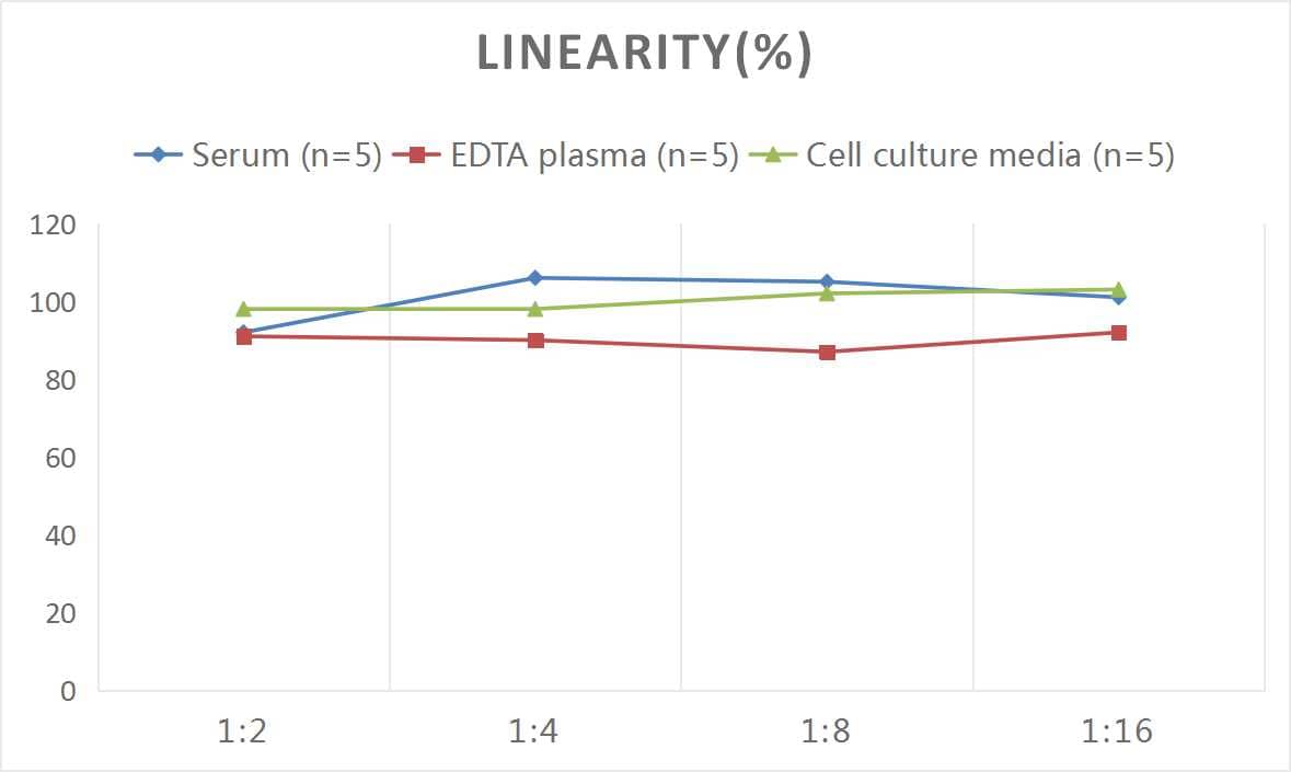 Human IgG2 ELISA Kit (Colorimetric)