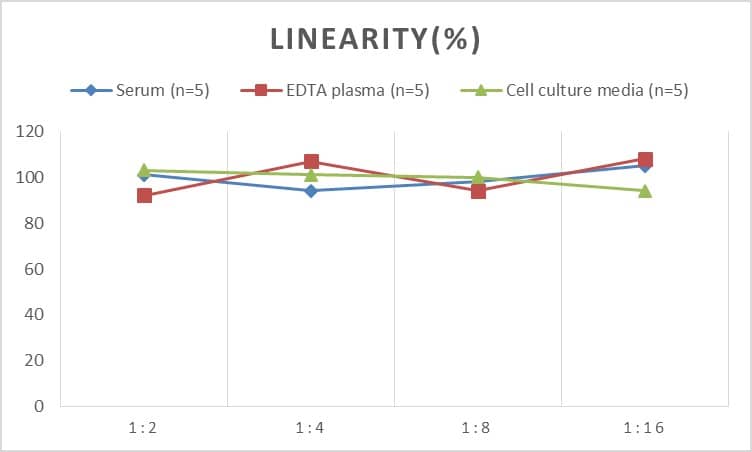 Human IgG2 ELISA Kit (Chemiluminescence)