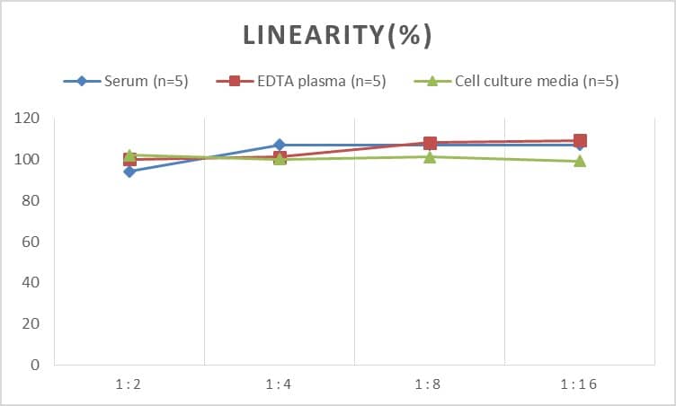 Human IgG3 ELISA Kit (Chemiluminescence)