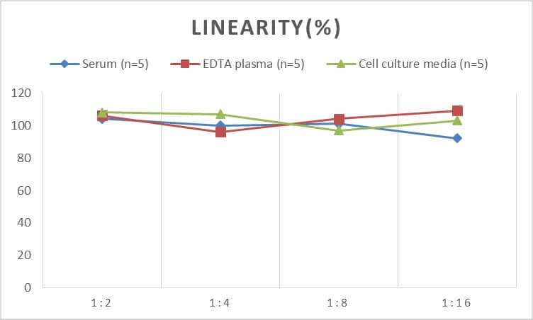 Human IgG4 ELISA Kit (Chemiluminescence)