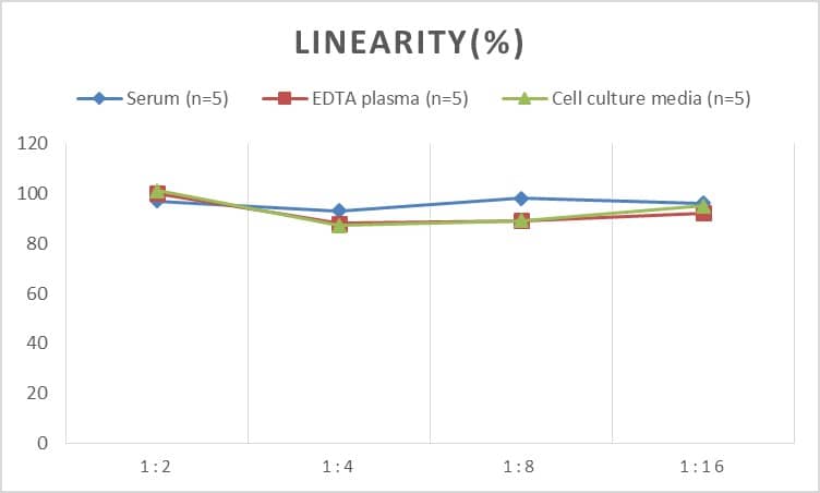 Human LRP-6 ELISA Kit (Colorimetric)