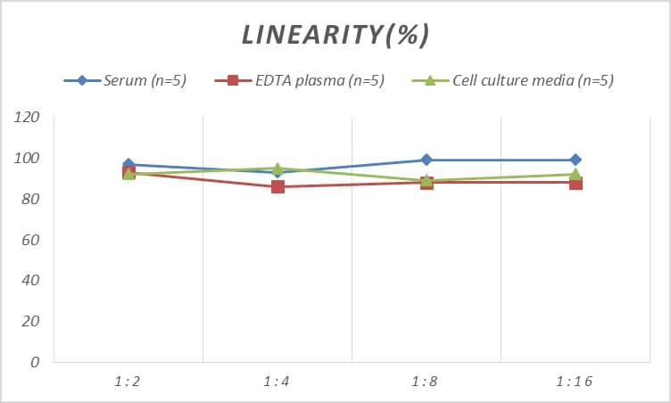 Human Myelin PLP ELISA Kit (Colorimetric)