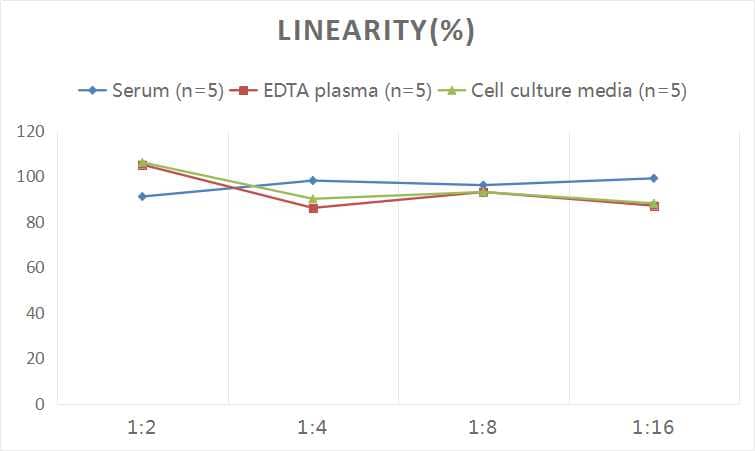 Human POMC ELISA Kit (Colorimetric)