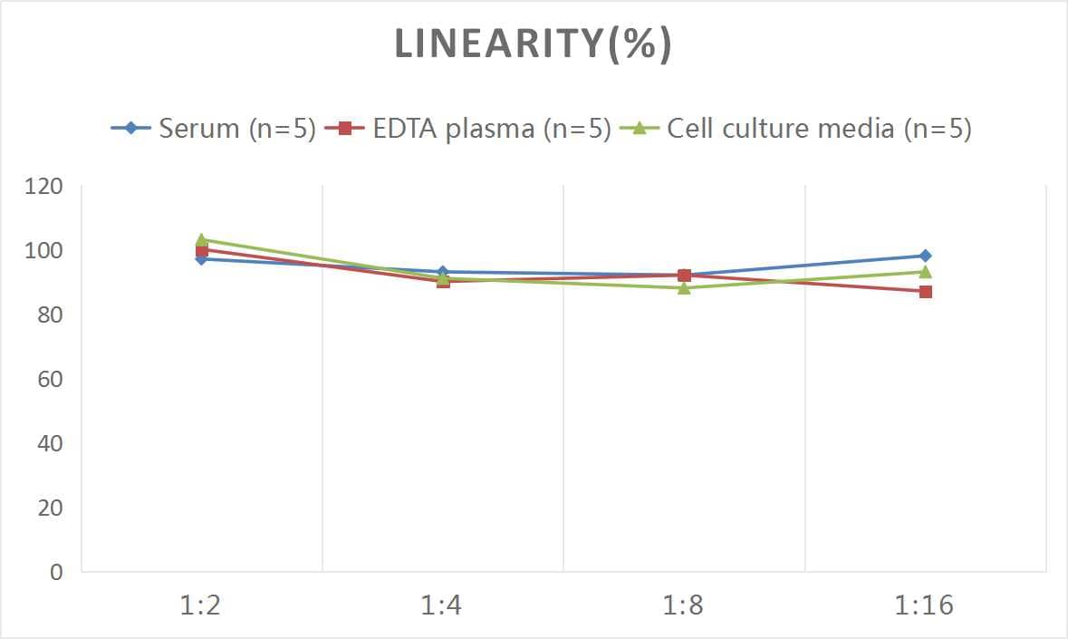 Human WISP-1/CCN4 ELISA Kit (Colorimetric)