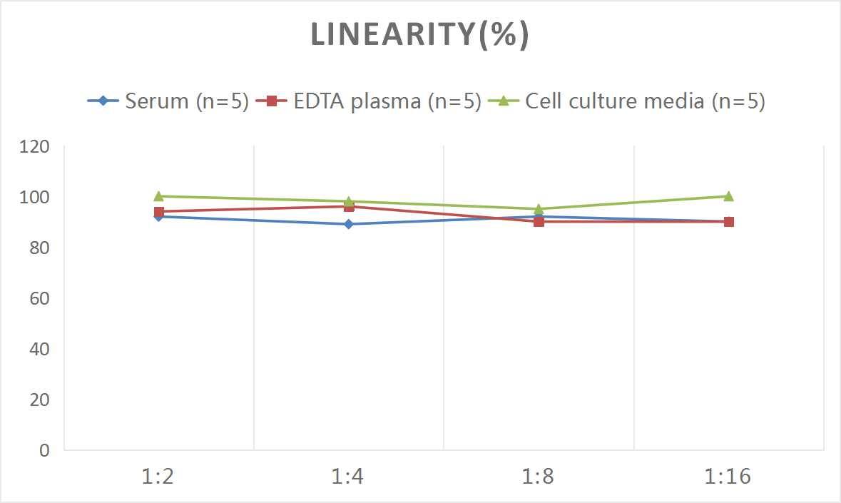 Monkey IgG Fc ELISA Kit (Colorimetric)