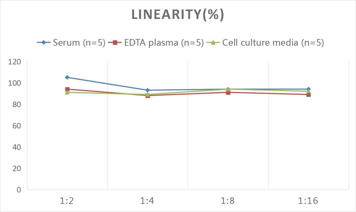 Monkey IgA ELISA Kit (Colorimetric)