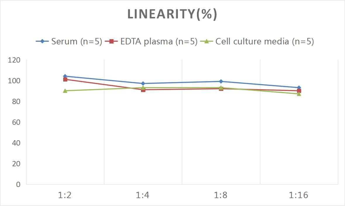 Mouse Cathepsin G ELISA Kit (Colorimetric)