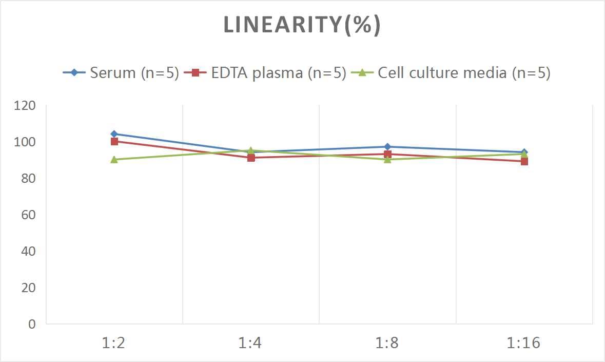 Mouse Cathepsin K ELISA Kit (Colorimetric)