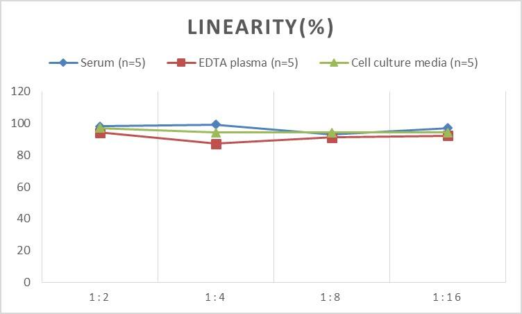 Mouse Galectin-8 ELISA Kit (Colorimetric)