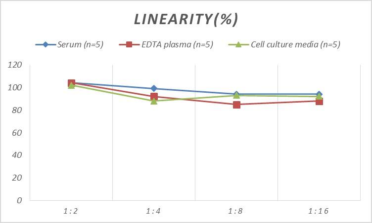 Mouse GATA-3 ELISA Kit (Colorimetric)